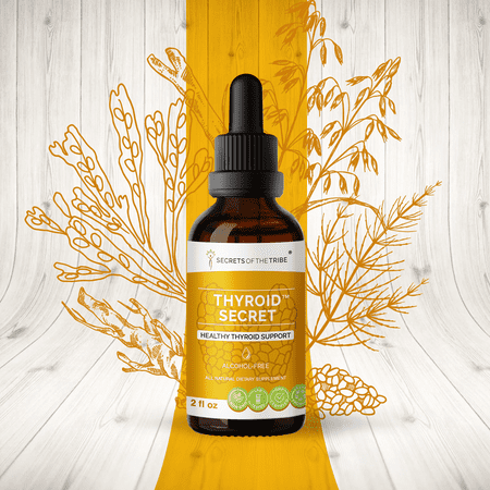 Thyroid Secret Alcohol-FREE Extract, Tincture, Glycerite Oatstraw, Horsetail, Broccoli, Echinacea, Ashwagandha, Kelp. Healthy Thyroid Support 2 oz
