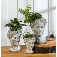 thumbnail image 4 of Jardinière Tête de Femme, 4 of 4