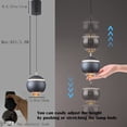 thumbnail image 5 of FSLiving J-Type Track Light with Focused 7W LED Track Spotlight Modern Pendant Light Adjustable Height Globe Shape Accent Downlight 3000K for Sloped Ceiling Gifts,Customizable - 1 Light (Gray), 5 of 7