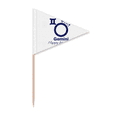 thumbnail image 1 of Constellation Destin Anniversaire Fête Geni Cure-Dent Triangle Cupcake Toppers Drapeau, 1 of 3