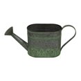 thumbnail image 1 of Cheungs 5067 1 lbs Metal Watering Can Decor, 1 of 1