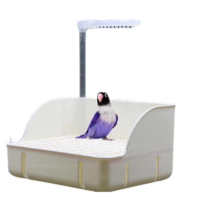 Guardoinrt Electric Shower Basin Automatic Circulating Water Water Circulation: The Tiger Tank For Birds Can Be Easily