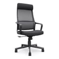 thumbnail image 3 of Furniture of America Celciana Executive Chair with Lumbar Support & Swivel, 275 lb. Capacity, Black, 3 of 10