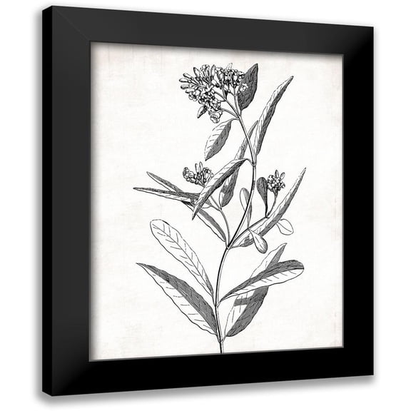 Grey, Jace 12x14 Black Modern Framed Museum Art Print Titled - Cream Black Florals