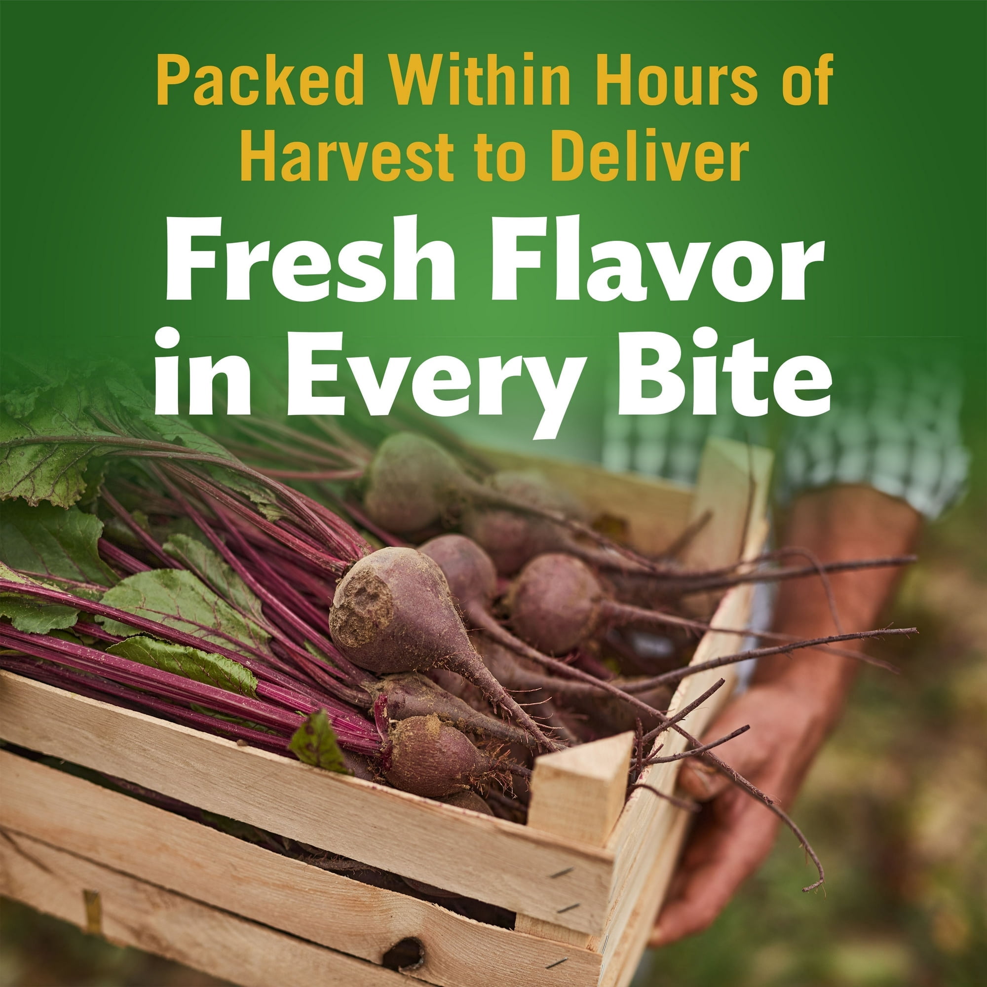 Del Monte Canned Beets Sliced Canned Vegetables, 14.5 oz Can (Pack of 8)