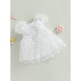 thumbnail image 2 of Spewahor Toddler Kids Girl’s Princess Dress, Puff Sleeve Tulle Dress Flower/Butterfly A-line Dress for Party Stage Show 12M-6T, 2 of 8