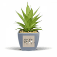 thumbnail image 1 of Celebrate Party Cheers Cat Fake Pineapple Flower Pot Vase Mini Decor, 1 of 3