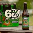 thumbnail image 6 of Dogfish Head 60 Minute IPA Craft Beer, 6 pack, 12 fl oz Glass Bottles, 6% ABV, 6 of 9