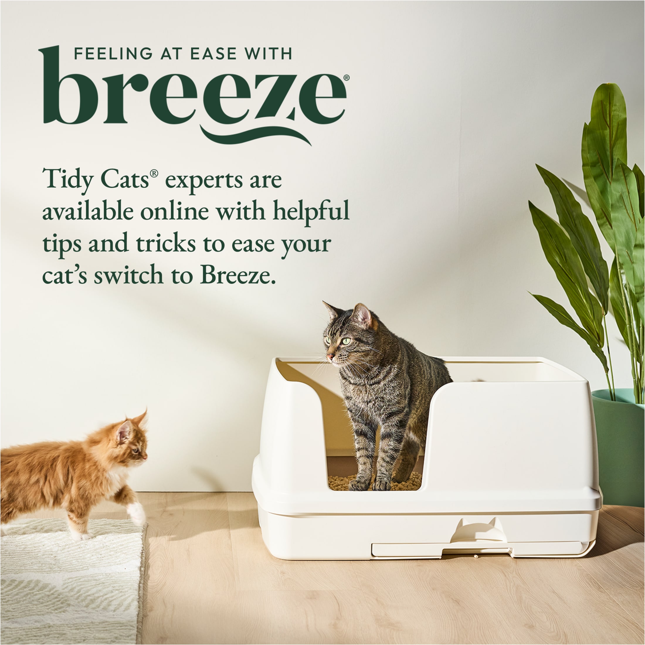 Purina Tidy Cats Breeze Bigger XL Litter Box System Kit photo 8