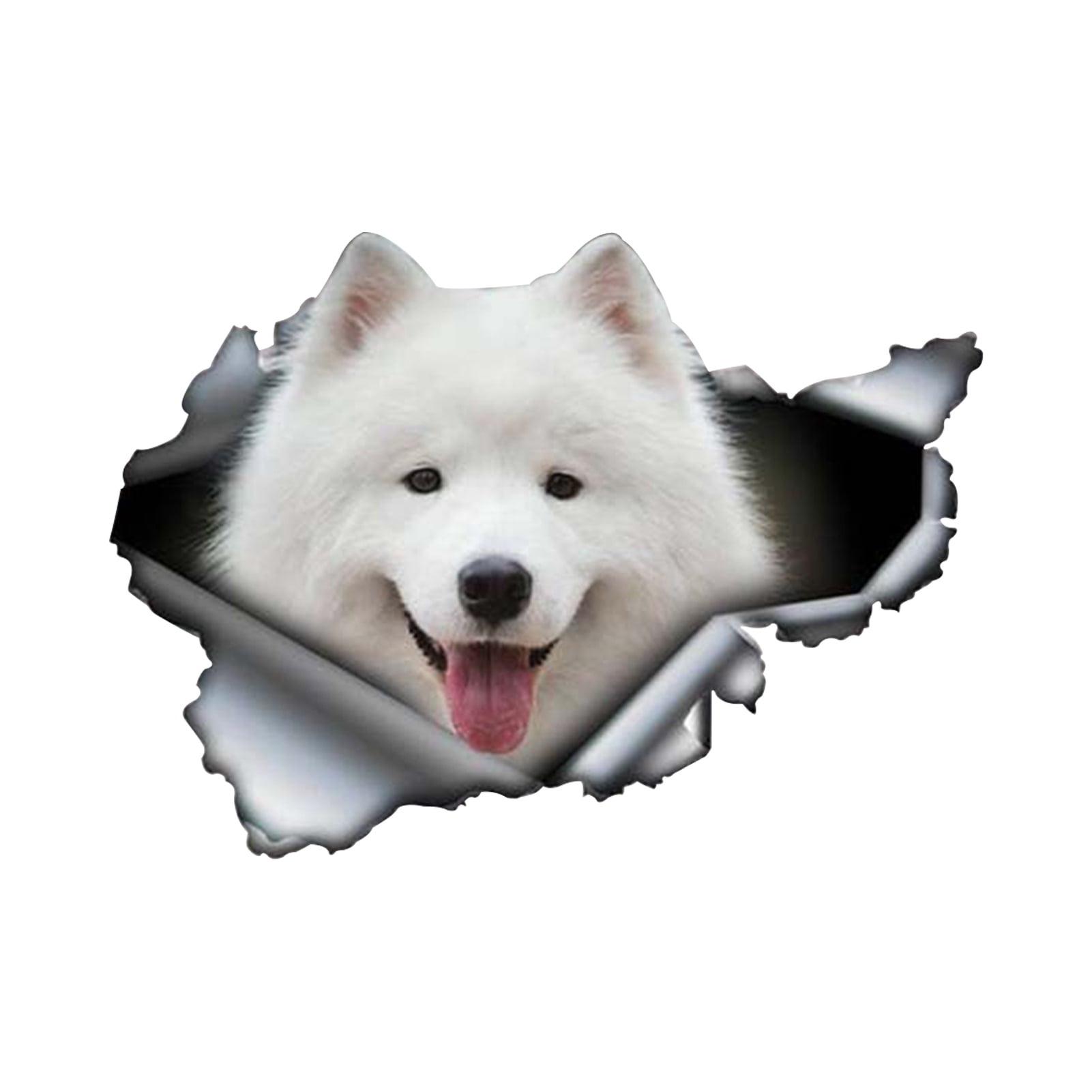 2 protected by American Eskimo dog car home window bumper vinyl stickers 