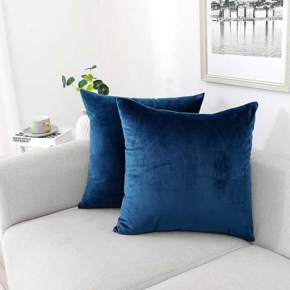 Nmkwnr 2 Pack Modern Decorative Throw Pillow Covers with Zipper, Soft Velvet Cushion Covers Pillow Case for Couch Sofa Bed, 16 x 16inch
