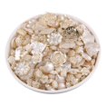 thumbnail image 1 of 100G Assorted Vintage Resin Beads Transparent Flower Leaf Beads, 1 of 1