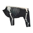 thumbnail image 4 of Disfraz de perro esqueleto de Halloween Fernando ropa de disfraz mascota 2XL, 4 of 8