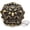 Bronze, variant on 1 1/4 Inch Dragon Concho Screw Back Leather Craft Coin Conchos Embellishments 2pcs (Bronze)