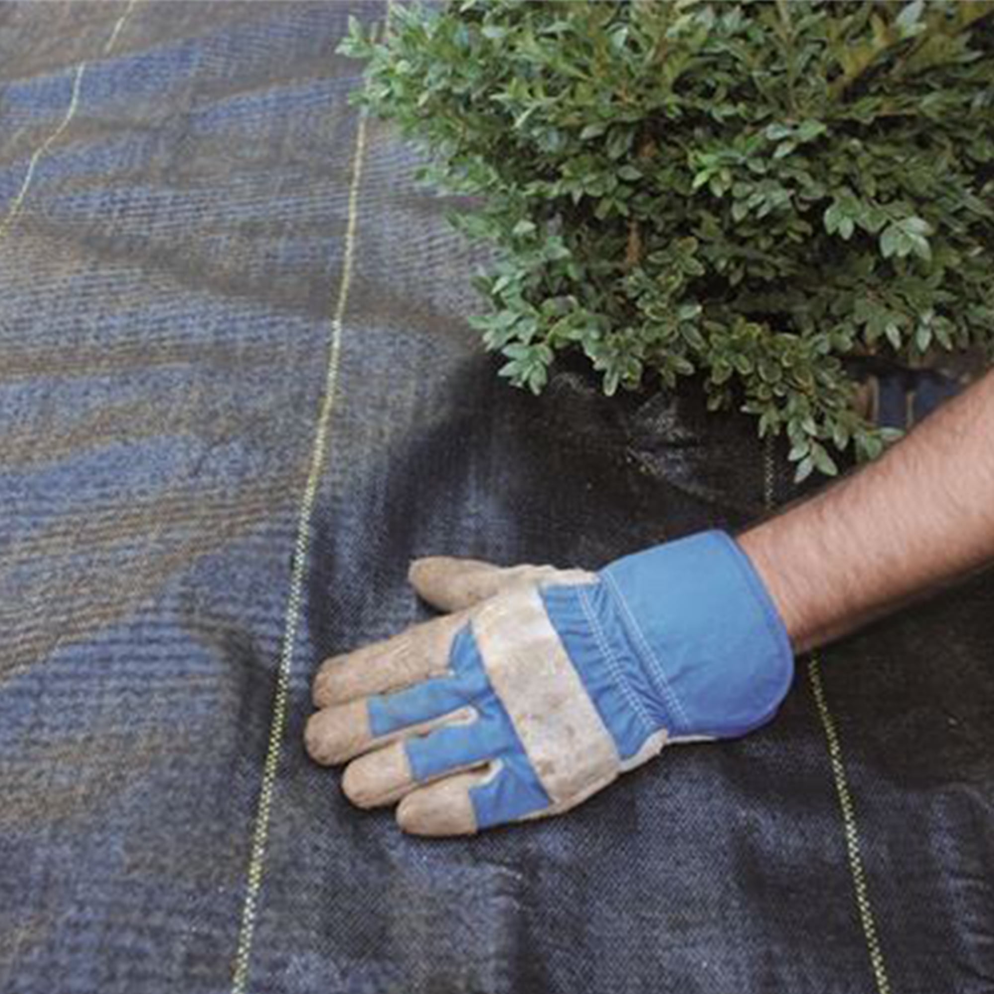 DeWitt 5-Pack Pro-5 Weed Barrier Fabric 5 oz, Heavy-Duty Woven Weed Control, 5 x 250 Feet