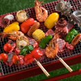 thumbnail image 3 of Pretty Comy 12 PCS Barbecue Skewers with Wooden Handle BBQ Stick Needles Roasting Sticks Outdoor Camping Outings Cooking Tools,Stainless Steel Grilling Skewers, 3 of 6