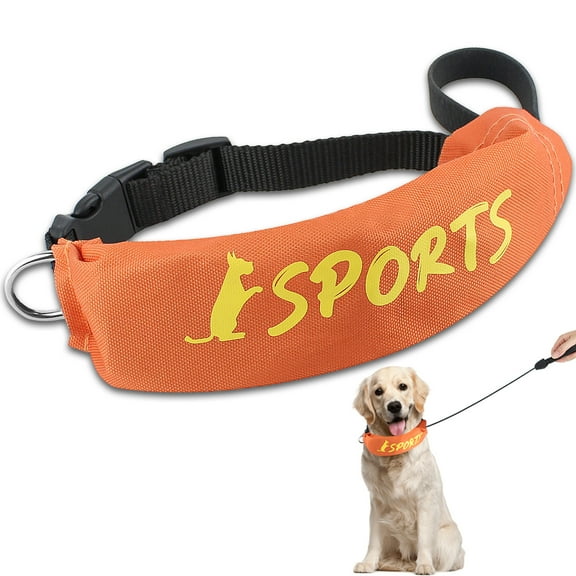 Duuclume Dog Collar and Leash for Small And Medium Dog, Collar and Automatic Retractable Leash All-in-One