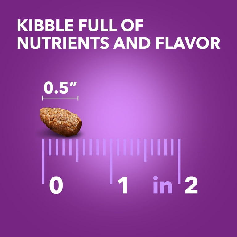 Iams Advanced Health Dry Dog Food, Skin & Coat Chicken and Salmon