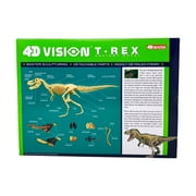 4D Master 4D Vision T-Rex Anatomy Model