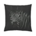 thumbnail image 2 of Ahgly Company Animals Zebra Indoor Throw Pillow, 18 inch by 18 inch, 2 of 6