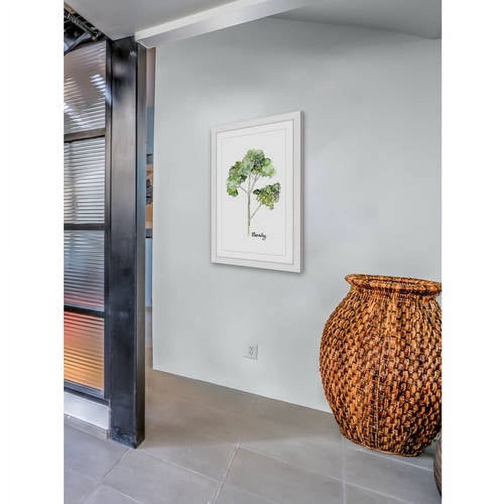 Marmont Hill "Herb Parsley" by Rachel Byler Framed Painting Print