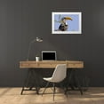 thumbnail image 3 of Williams, Joanne 14x11 White Modern Wood Framed Museum Art Print Titled - Kenya Profile of yellow-billed hornbill bird, 3 of 4