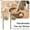A+B, variant on Handmade Toe-tal Straw, Ceramic Reusable Shaped Drink Sticks,Gift for Prank Lovers, for Parties, Gifts, and Home Use (1/2PCS)
