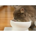 thumbnail image 6 of Nat & Jules Mine Also Mine White 6 inch Stoneware Raised Pet Food and Water Bowls Set of 2, 6 of 6