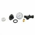 thumbnail image 2 of Pentair 24850-0105 Valve and Gauge Assembly Replacement for Select Sta-Rite Pool and Spa Filters, 2 of 2