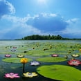 thumbnail image 3 of Luces solares flotantes para piscina y estanque de flores de loto que cambian de color, 3 of 10