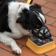 thumbnail image 4 of Adjustables Anti-eating, Anti-licking And Anti-biting Dog Muzzle Breathable Hollow Basket Muzzles For Dog XL Black, 4 of 4