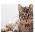 thumbnail image 3 of CAT-1 Mouse Pad Cute Cat Picture Anti-Slip Gaming Mouse Mat Replacement for PC Computer Laptop, 3 of 8
