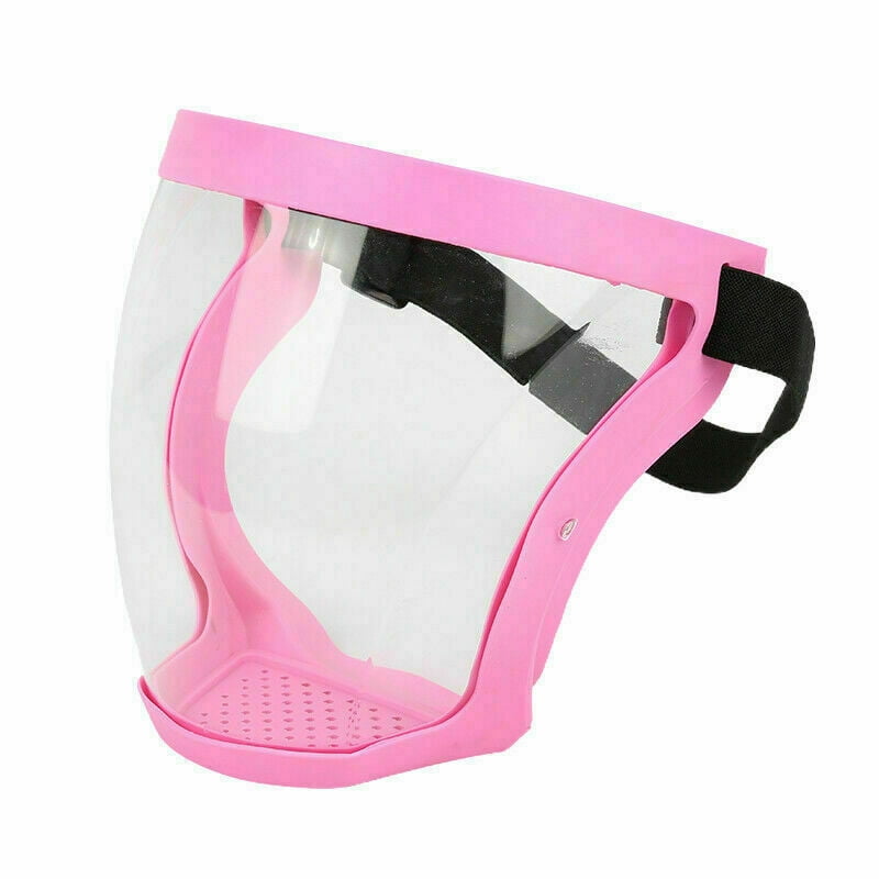 Anti-fog Full Face Shield Super Protective Head Cover Transparent Safety Mask US 