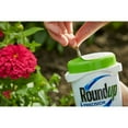 thumbnail image 4 of Roundup Weed & Grass Killer Precision Gel, 5 oz., 4 of 7