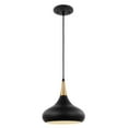 thumbnail image 2 of Nuvo Lighting Phoenix 1 Light Small Pendant Matte Black with Polished Nickel, 2 of 7