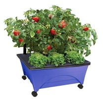 EMSCO Group- City Picker Raised Bed Grow Box – Self Watering and Improved Aeration – Mobile Unit with Casters - Cobalt Blue