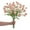 Champagne, variant on 19.3 Inch Artificial Flower Long Stem Fake Silk Flowers Mini Chrysanthemum Floral Arrangements, White