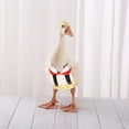 thumbnail image 4 of S 3 uds. Pañales para pollos y mascotas, pañales para patitos, ropa de ganso reutilizable, ropa para mascotas con pajarita, 4 of 5