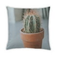 thumbnail image 2 of Ahgly Company Plants Cactus Coussin Intérieur, 18 Pouces par 18 Pouces, 2 of 6