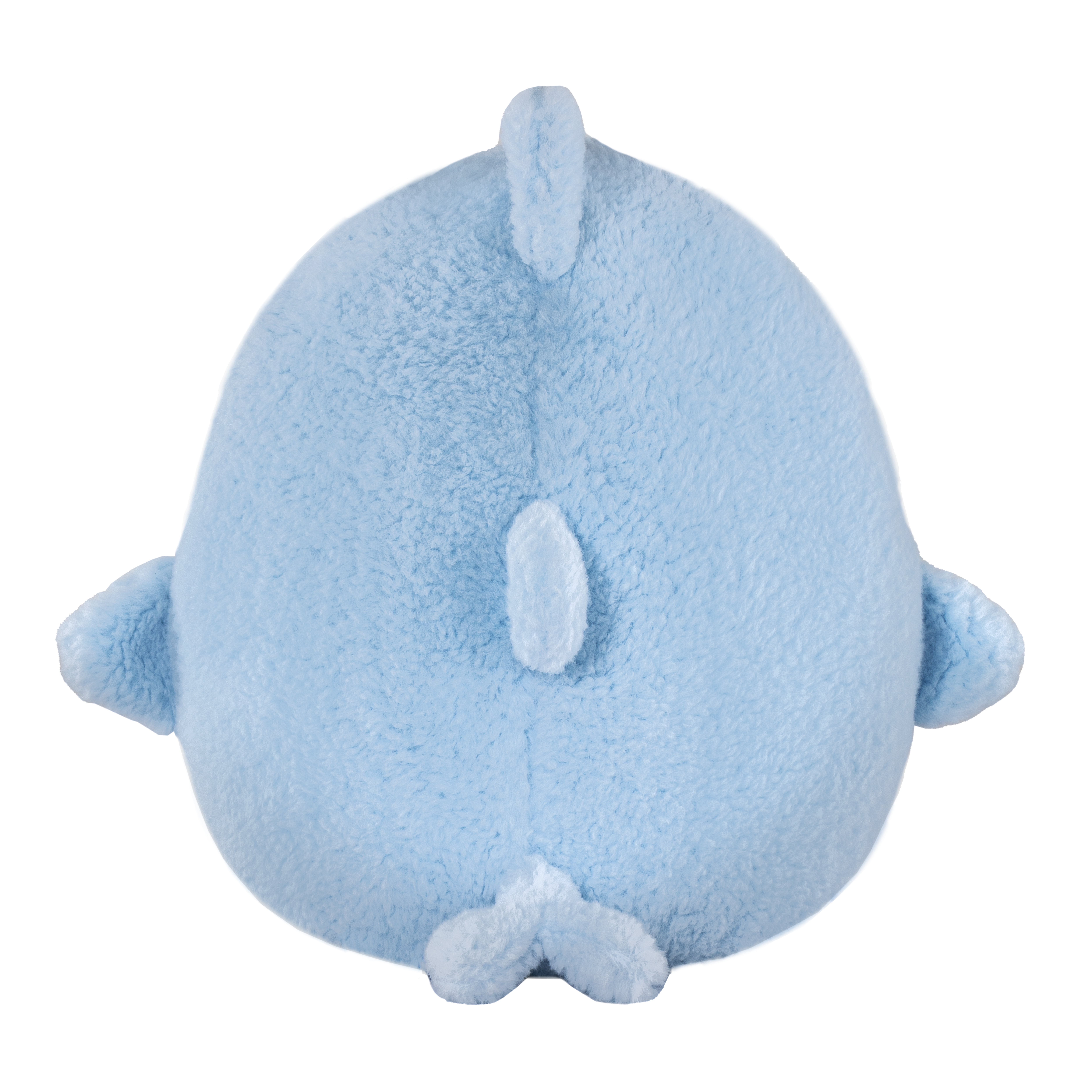 squishmallow blue shark