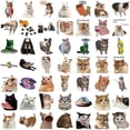 thumbnail image 2 of Funny Cat Stickers 50 Pack Waterproof Vinyl Meme Cat Decals for Water Bottles Laptop Phone Skateboard Journal, 2 of 5