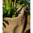 thumbnail image 7 of Modern Magnesium Planter, 7 of 7