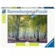 thumbnail image 1 of Ravensburger Bosque de Abedules Rompecabezas de 1000 Piezas para Adultos y niños a Partir de 12 años, 1 of 4