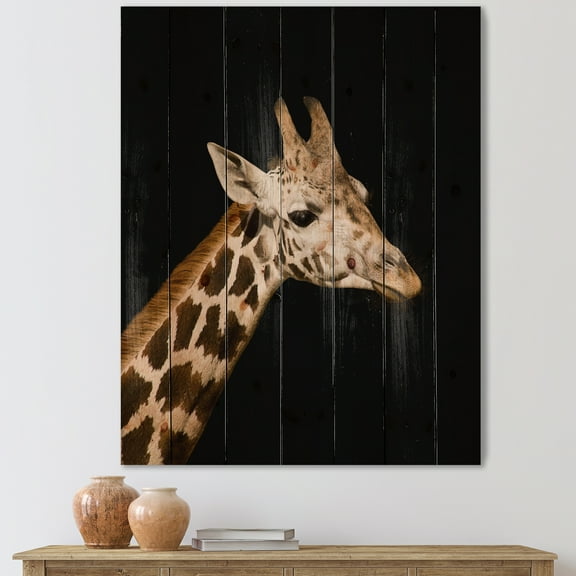 Designart 'Close Up Portrait Of A Giraffe On Black IV' Farmhouse Print on Natural Pine Wood