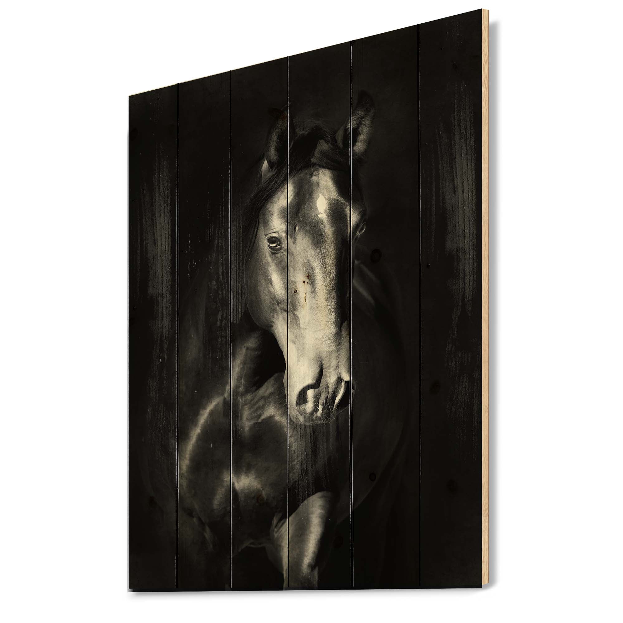 Designart 'Close Up Portrait Of Black Kladruby Horse' Farmhouse Print on Natural Pine Wood