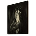 thumbnail image 2 of Designart 'Close Up Portrait Of Black Kladruby Horse' Farmhouse Print on Natural Pine Wood, 2 of 5