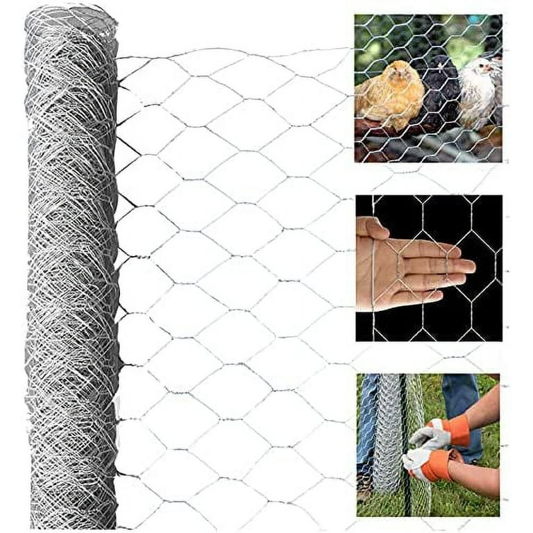 Galvanized Poultry Net - Metal Mesh Fencing / Chicken Wire 2