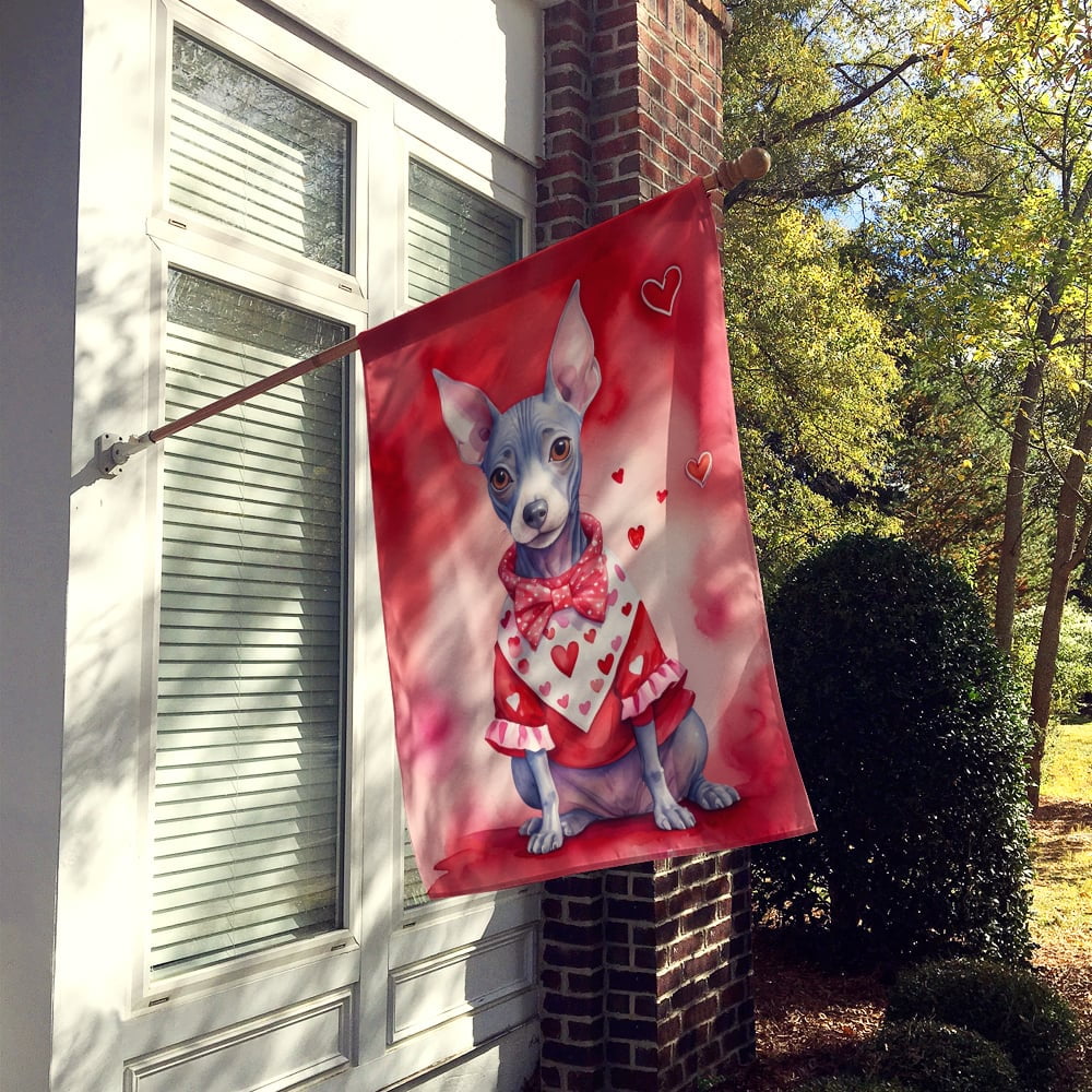 American Hairless Terrier My Valentine House Flag 28 in x 40 in