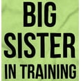 thumbnail image 2 of Big Sister In Training Expecting Youth T Shirt Tee Girls Infant Toddler Brisco Brands 5T, 2 of 5
