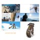 thumbnail image 4 of Jumpingount Guantes de esquí de camuflaje Guantes de moto impermeables y resistentes al viento Guantes térmicos de snowboard guantes y mitones L Jumpingount AP008109-02, 4 of 6